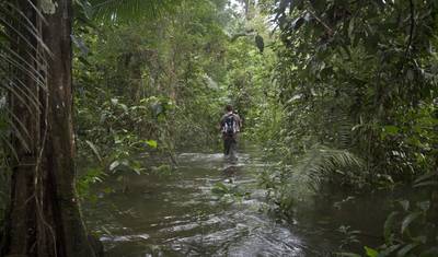 Interior e Amazônia — 2