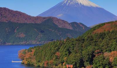 Ultimate Japan — 2