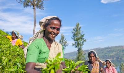 Essence of Sri Lanka - 9 Days of Culture, Nature & Wildlife, Private Tour — 2