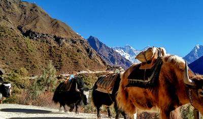 Trekking Panorama Everestu — 4