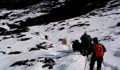 Annapurna Circuit Trek — 4