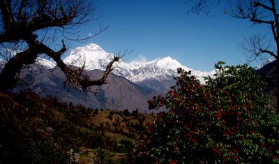 Annapurna Circuit Trek — 5
