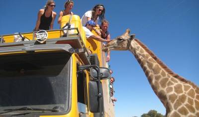 Nairobi To Johannesburg (94 Days) — 5
