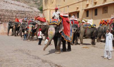 Triângulo Dourado com Ranthambore (Safári na Selva) e Rishikesh Espiritual — 3