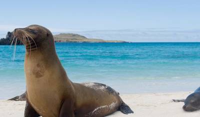 Galápagos Clássico: Ilhas do Sul (Grand Queen Beatriz) — 3