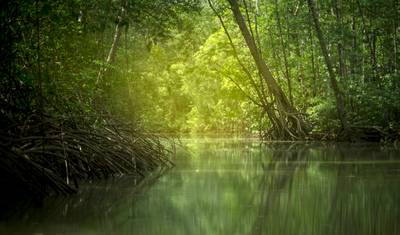 Wulkany, natura i Karaiby — 5
