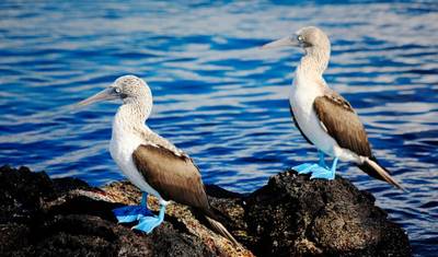 Wyspy Galapagos – Wyspy Odkryć — 5