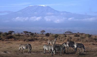 Tanzânia – Safari e Serviço — 3