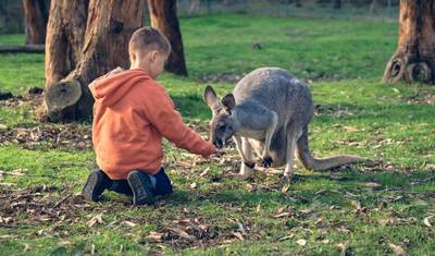 Australia – Przygoda z dziką przyrodą na wybrzeżu — 4