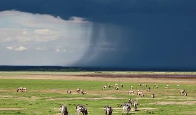 Simba Safari, Tanganyika Wilderness Camps — 3
