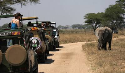 Simba Safari, Tanganyika Wilderness Camps — 4