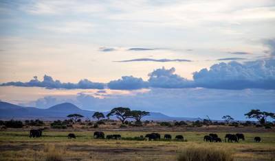 De Kilimanjaro a Mombasa — 5