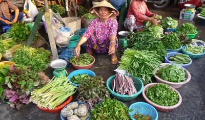 From the Mekong Delta to the Temples of Angkor & Hanoi and Halong Bay (port-to-port cruise) — 2