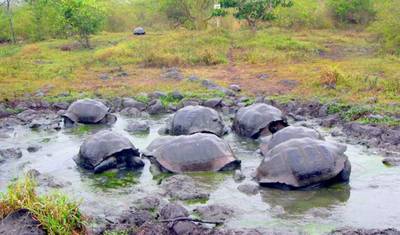 4 dias Me Gusta Galapagos Ilha de San Cristóbal — 5