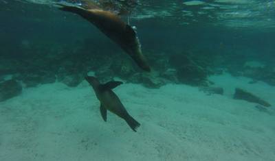 4 dni Me Gusta Galapagos Wyspa Santa Cruz — 4