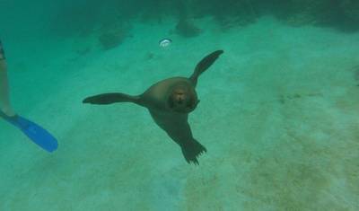 4 dni Me Gusta Galapagos Wyspa Santa Cruz — 3
