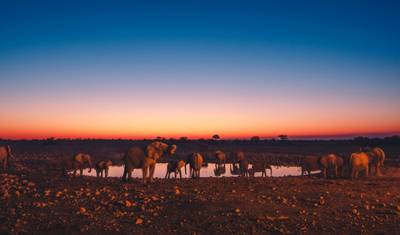 Safari de Acampamento Econômico de 6 Dias: Areia, Mar e Etosha — 3