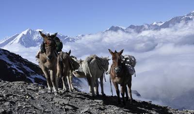 Trilho para o Acampamento Base de Annapurna — 2