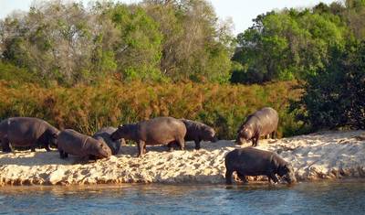 Trilha Selvagem de 9 Dias pelas Cataratas Vitória e Okavango (Acomodado) — 4