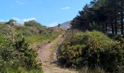 Wędrówka szlakiem Kerry Way i Parku Narodowego Killarney — 4
