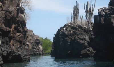 Galápagos Experiência Completa 4D-3N! — 5