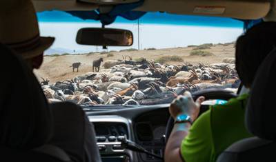 Experimente o Tour pelo Gobi Mongol — 3