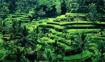 Viagem de 16 Dias pelo Vietnã, Tailândia e Extensão em Bali — 4