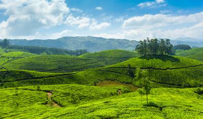 7 Dias de Incrível Tour por Kerala — 2
