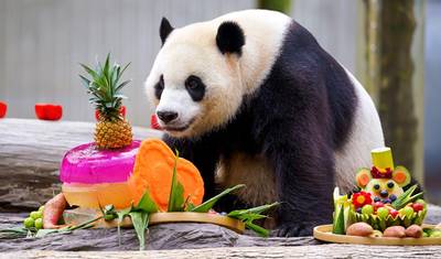 11-dniowa wycieczka po Chinach: Panda, luksusowa mała grupa i wysokiej jakości hotele, All Inclusive — 4