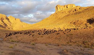 Wyprawa trekkingowa Jebel Saghro 8 dni — 3