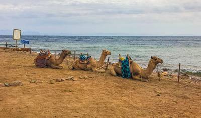 Luxurious Egypt (5* Nile cruise/ hurghadal all inclusive )with  domestic flight — 5