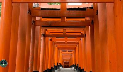 Japão Clássico 10 Dias - One Life Adventures — 4
