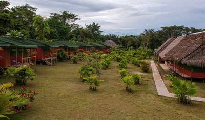 7-Day Iquitos Jungle Tour at Maniti Eco-Lodge — 4