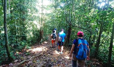 3D2N orangutany w Tanjung Puting z noclegiem na łodzi — 5