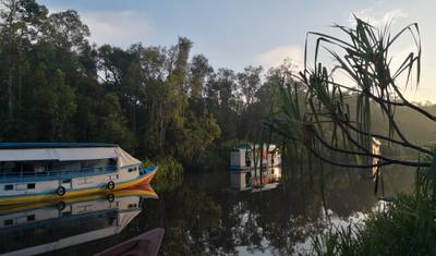 3D2N orangutany w Tanjung Puting z noclegiem na łodzi — 3