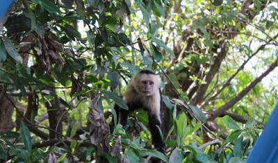 Esplendor da Costa Rica — 5