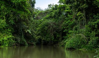 Costa Rica Eco Essencial — 4