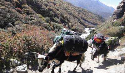 Caminhada Panorâmica do Everest — 3