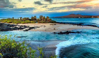 Galapagos Essentials — 2