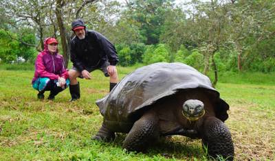 Galapagos Essentials — 4