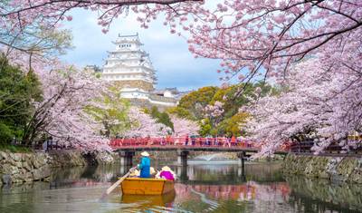 7日間 日本満喫：東京、富士山、京都 — 3