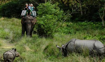 Safari na Selva de Chitwan — 2