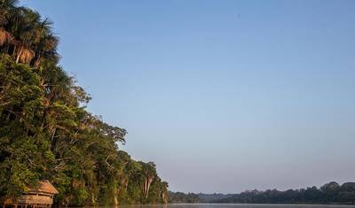 Lontras Gigantes em Tambopata — 3
