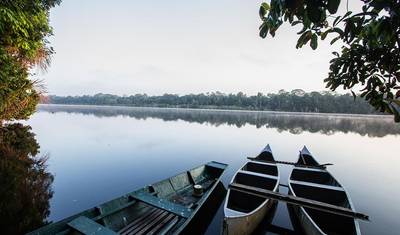 Lontras Gigantes em Tambopata — 2