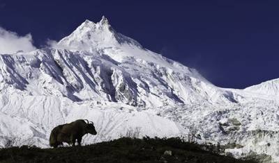 Manaslu Circuit Trek — 2