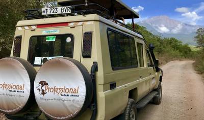 6 Dias - Parque Nacional de Tarangire, Serengeti e Cratera de Ngorongoro — 5