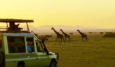 6 Dias - Parque Nacional de Tarangire, Serengeti e Cratera de Ngorongoro — 2