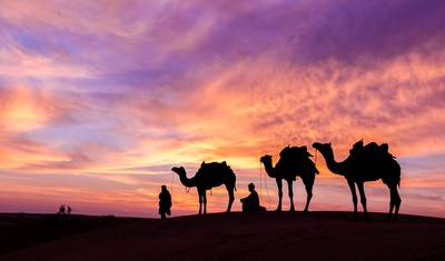 イスラエルとエジプト15日間の旅 — 2