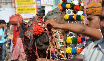 Explorando a Tradição da Feira de Pushkar e a Aventura do Triângulo Dourado — 2