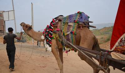 Explorando a Tradição da Feira de Pushkar e a Aventura do Triângulo Dourado — 5